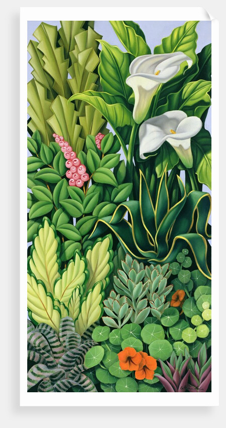 Foliage I, 2003 by Catherine Abel