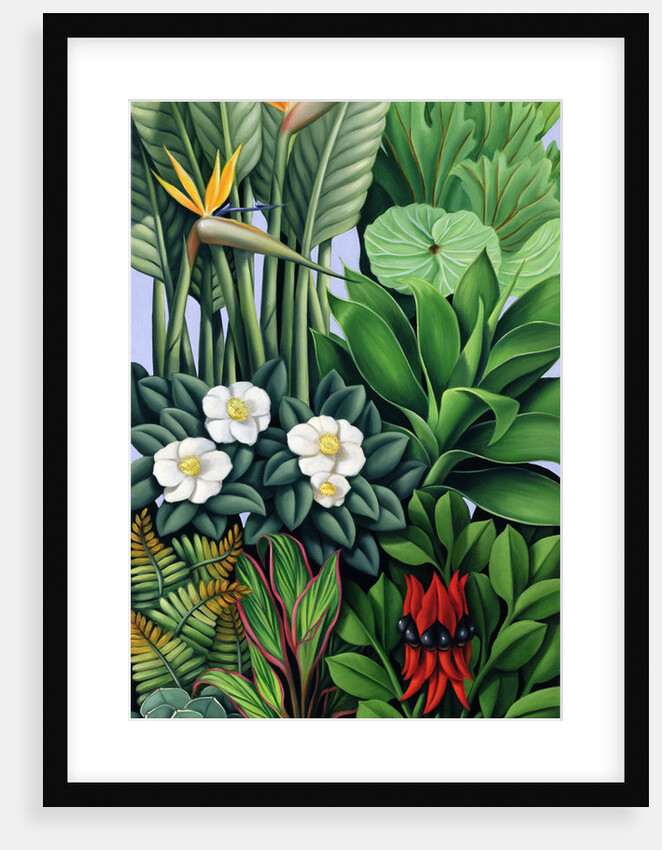 Foliage II, 2005 by Catherine Abel