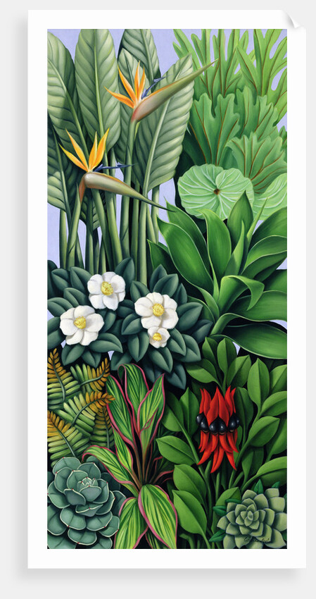 Foliage II, 2005 by Catherine Abel