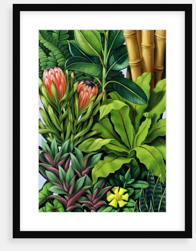 Foliage III, 2005 by Catherine Abel