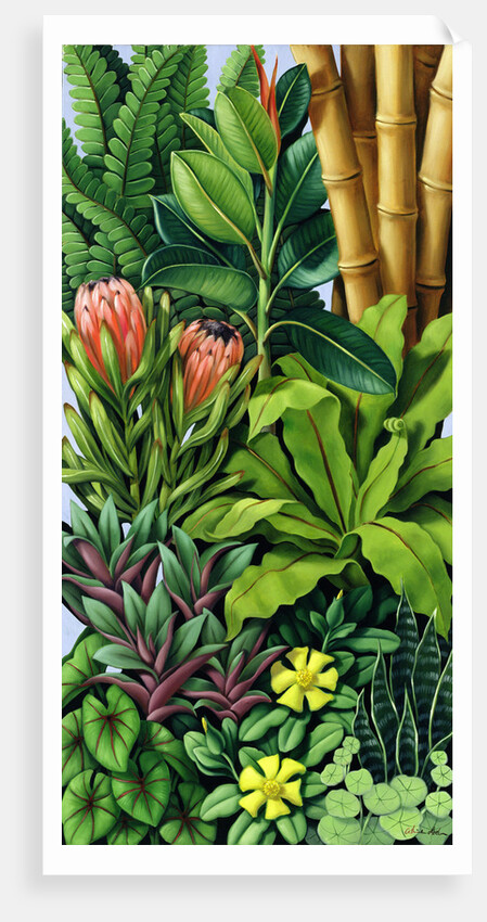 Foliage III, 2005 by Catherine Abel