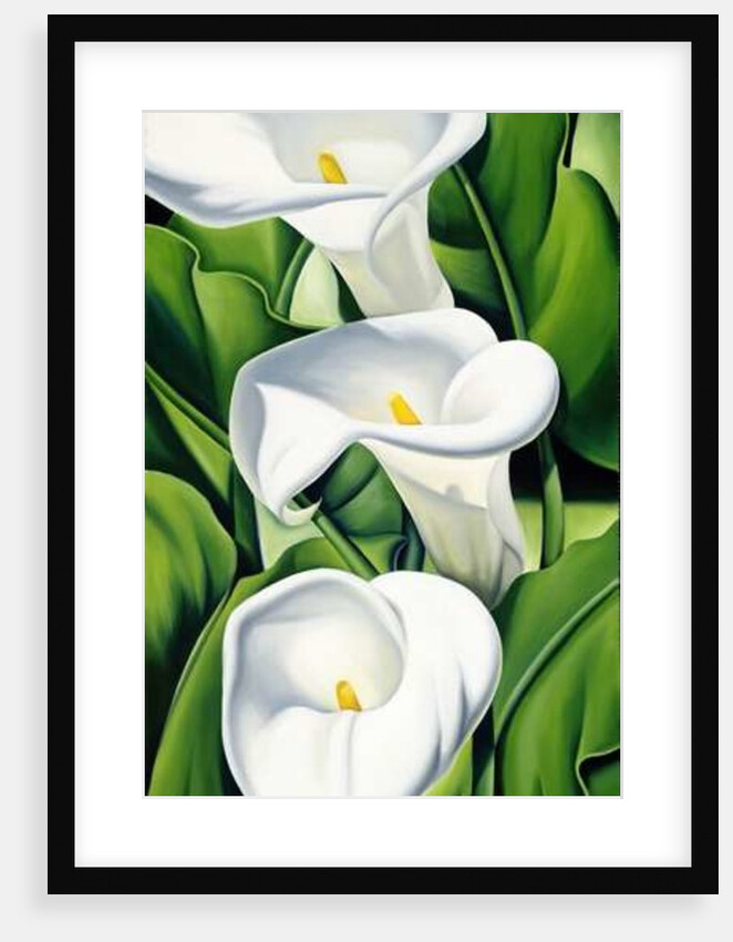 Lilies, 2002 by Catherine Abel
