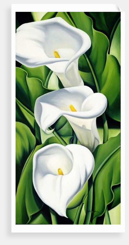 Lilies, 2002 by Catherine Abel