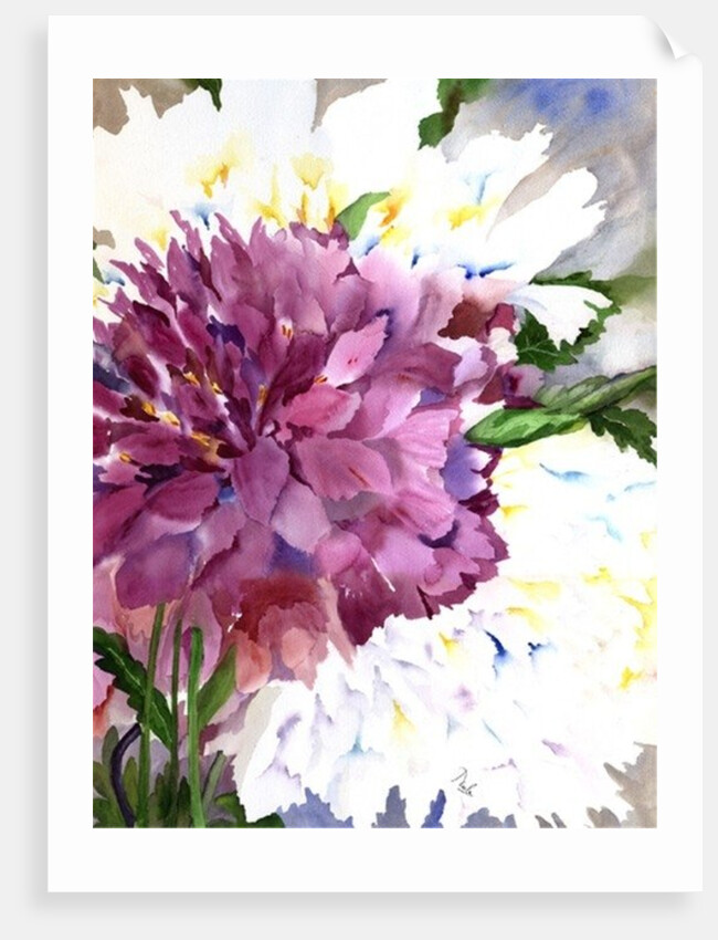 Red Peony by Neela Pushparaj