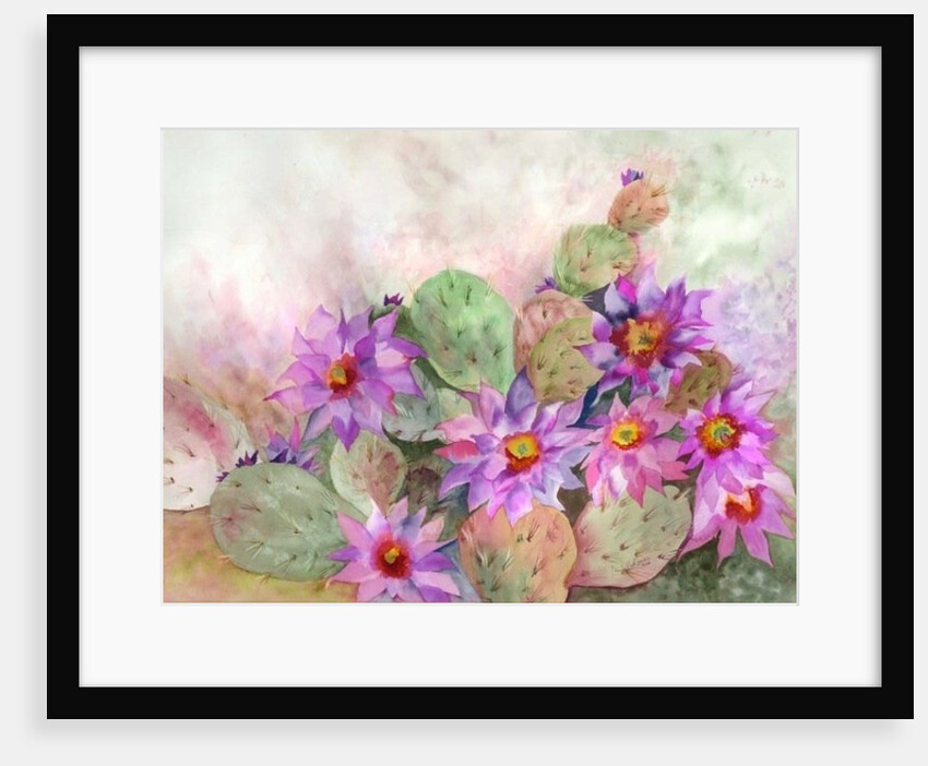 cactus garden by Neela Pushparaj