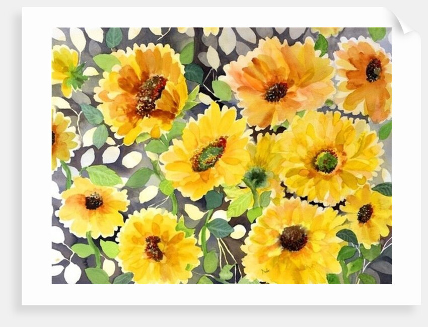 girasol by Neela Pushparaj