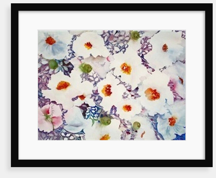 white poppies by Neela Pushparaj