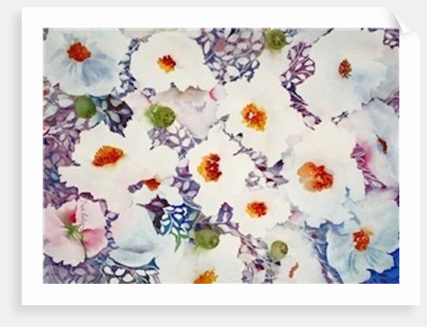white poppies by Neela Pushparaj