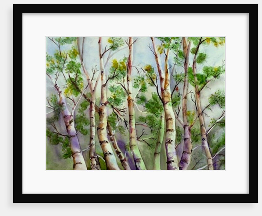 Spring Birches by Neela Pushparaj