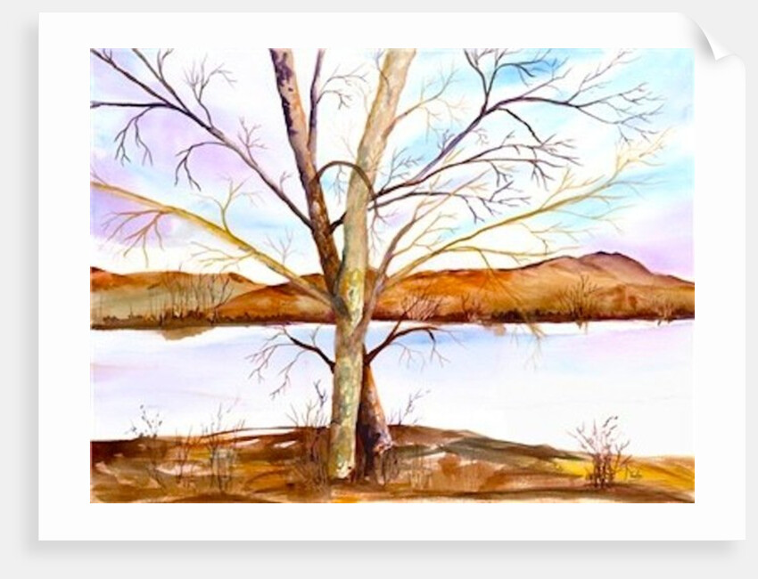 Trees Entwined by Neela Pushparaj