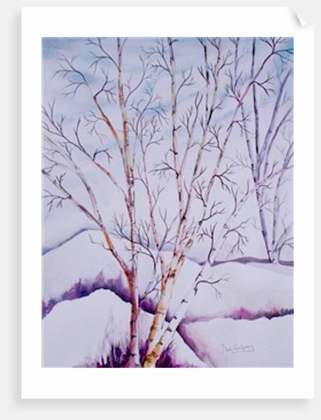 Winter Whites by Neela Pushparaj