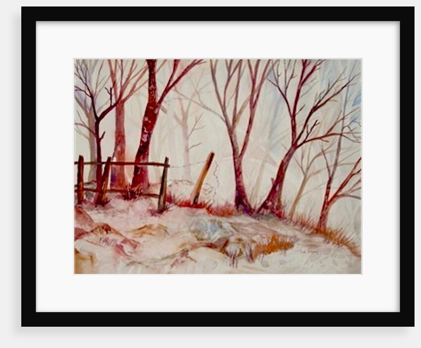 Shadow Trees by Neela Pushparaj
