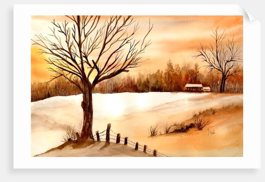 Snow Glow by Neela Pushparaj