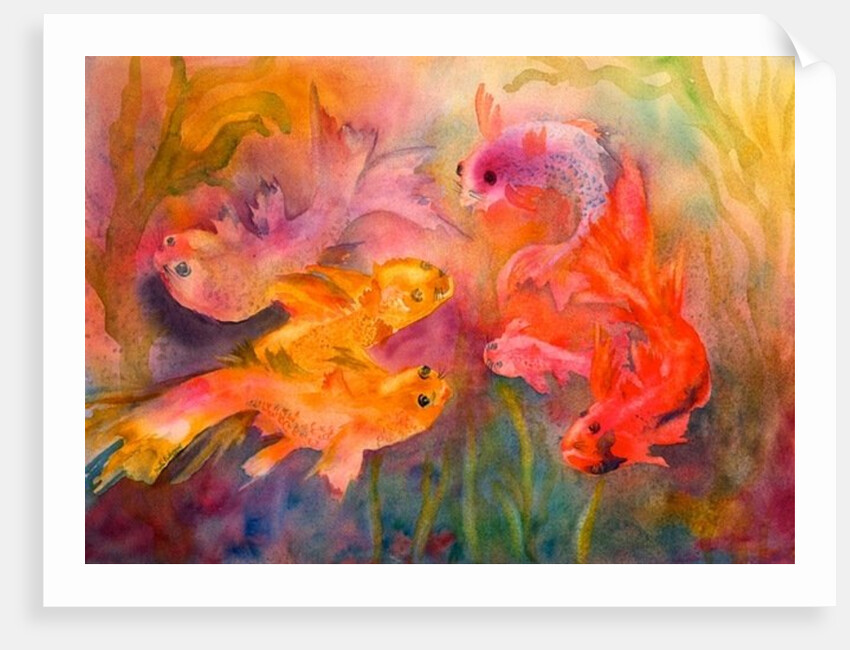 Fish Frolic by Neela Pushparaj