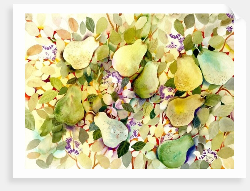 Pears, 2005 by Neela Pushparaj