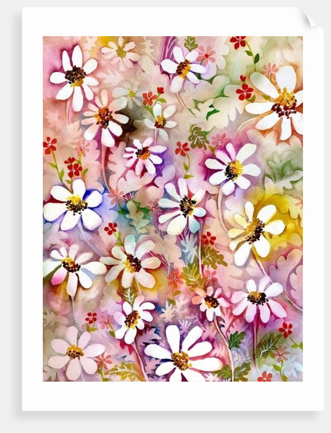 Daisies Galore, 2005 by Neela Pushparaj