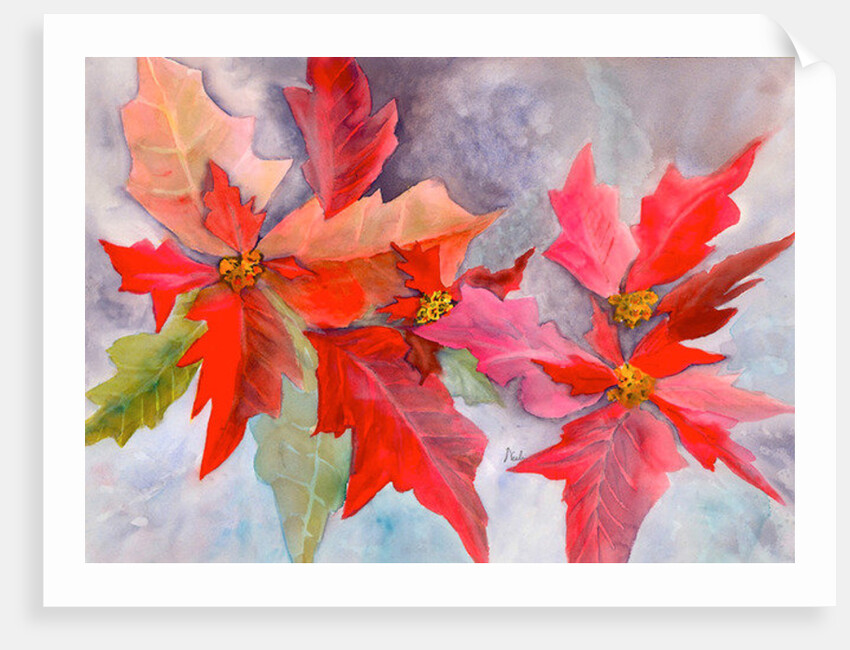 decmber delight by Neela Pushparaj