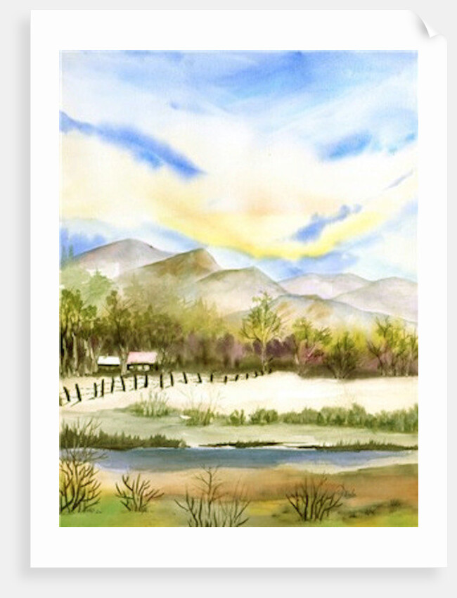 Sunny Day by Neela Pushparaj