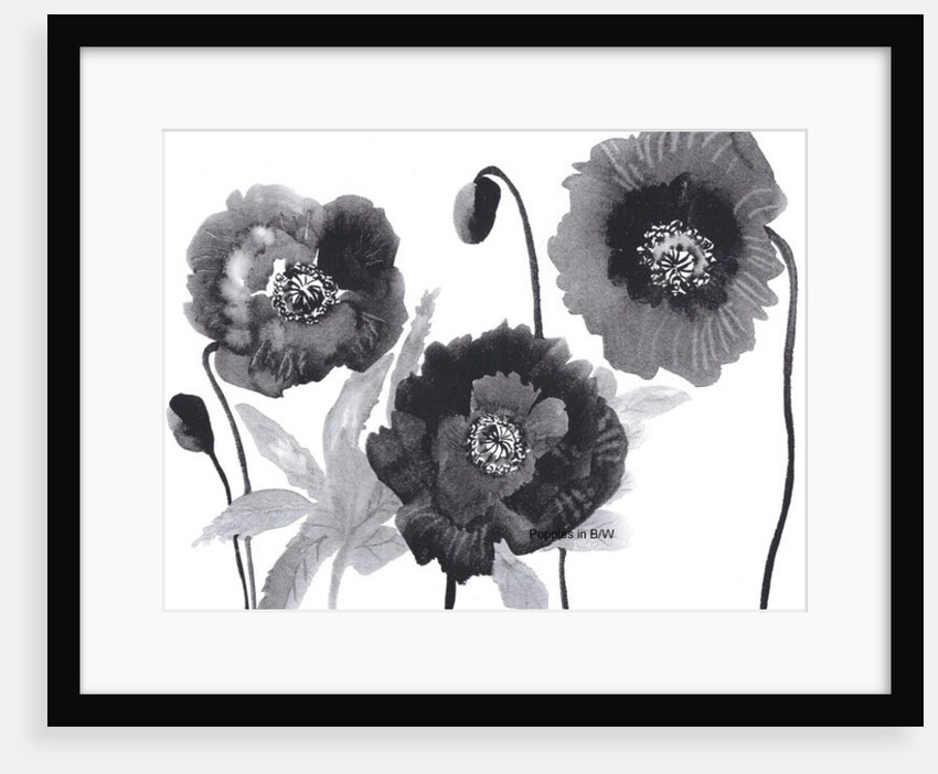Poppies in Black and white by Neela Pushparaj