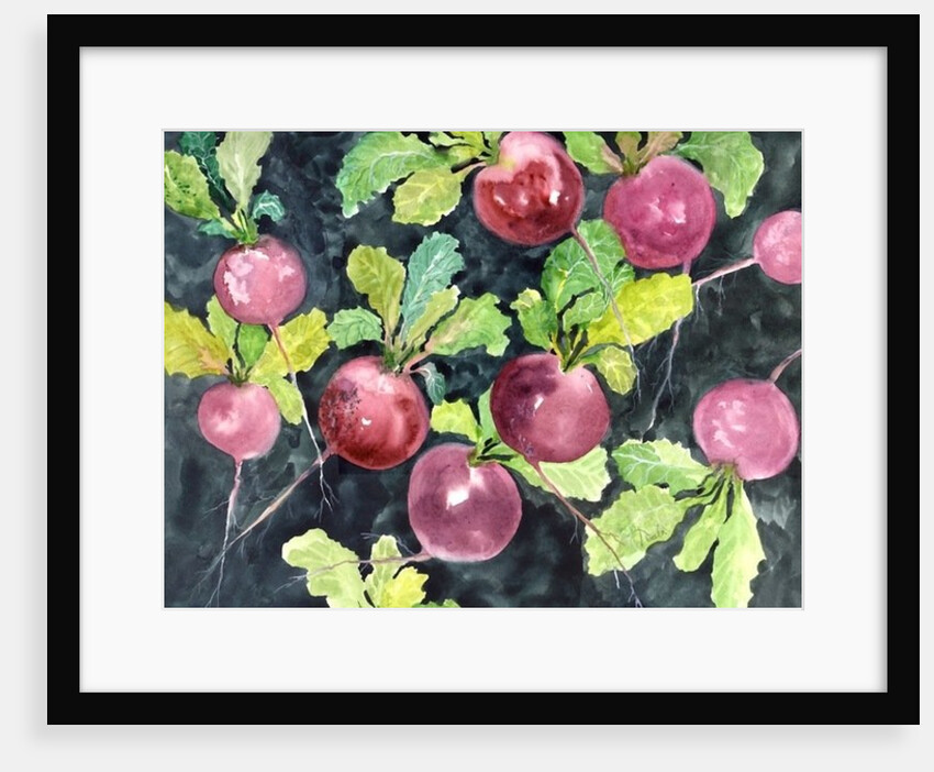 Radishes by Neela Pushparaj