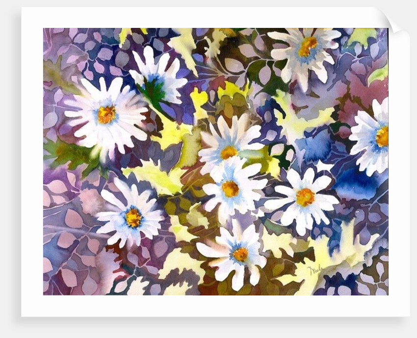 White Daisies by Neela Pushparaj