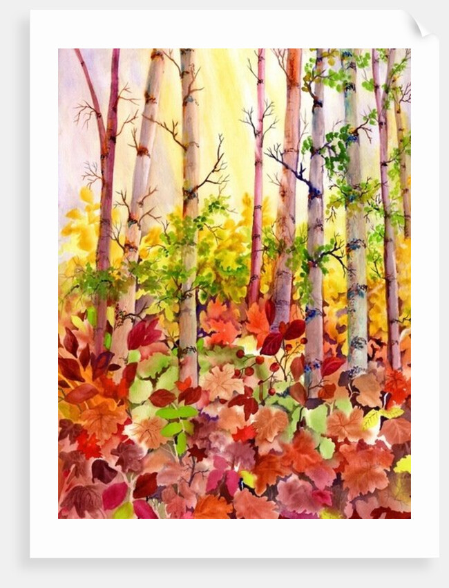 Autumn Woods, 2009 by Neela Pushparaj