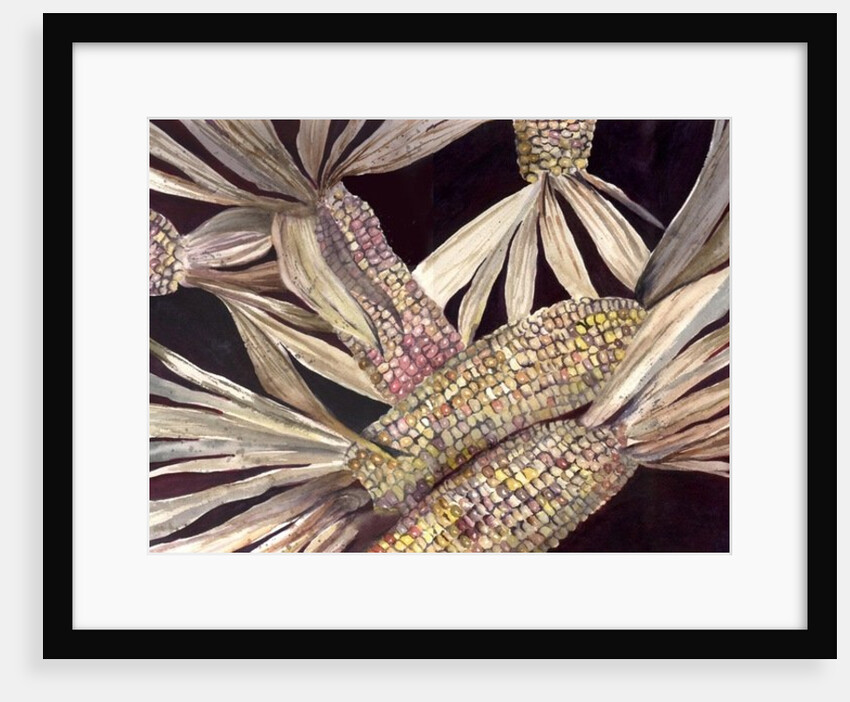 Corn, 1999 by Neela Pushparaj