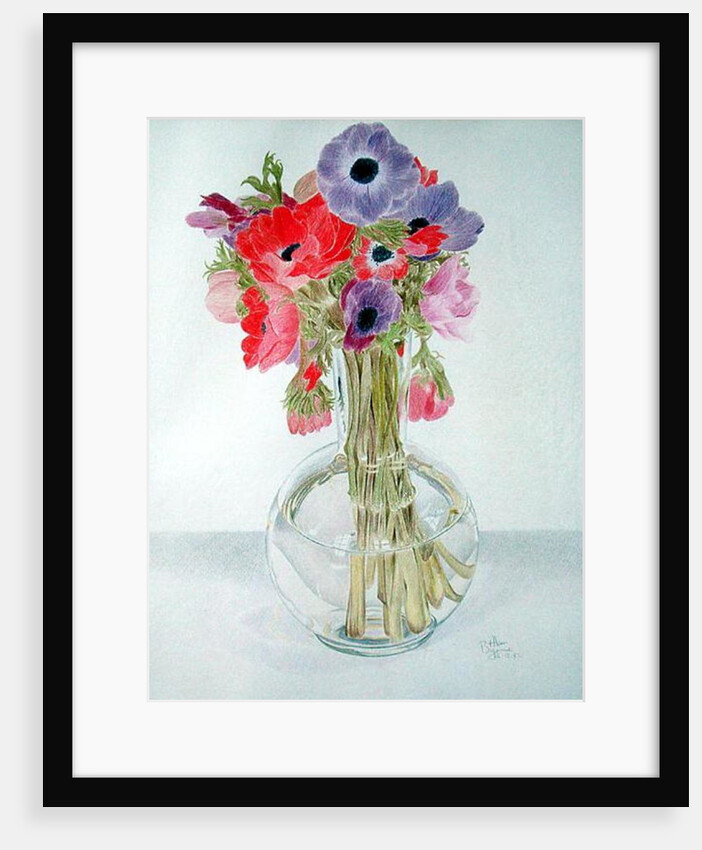 Anemonies, 1982 by Alan Byrne