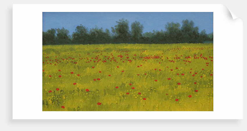 Yellow Field with Poppies, 2002 by Alan Byrne