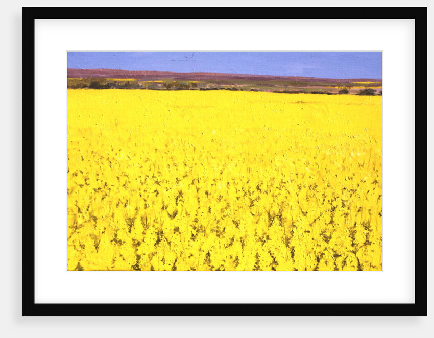 Rape Field, 2003 by Alan Byrne
