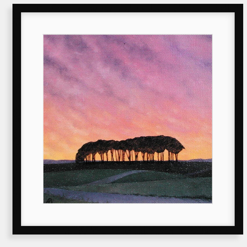 Distant Pines by Ann Brain