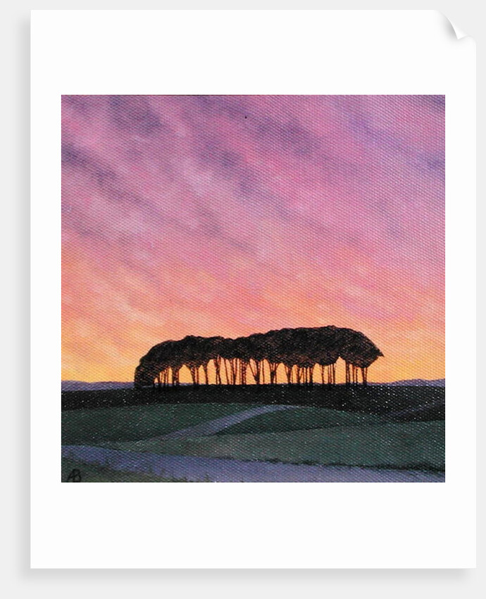 Distant Pines by Ann Brain