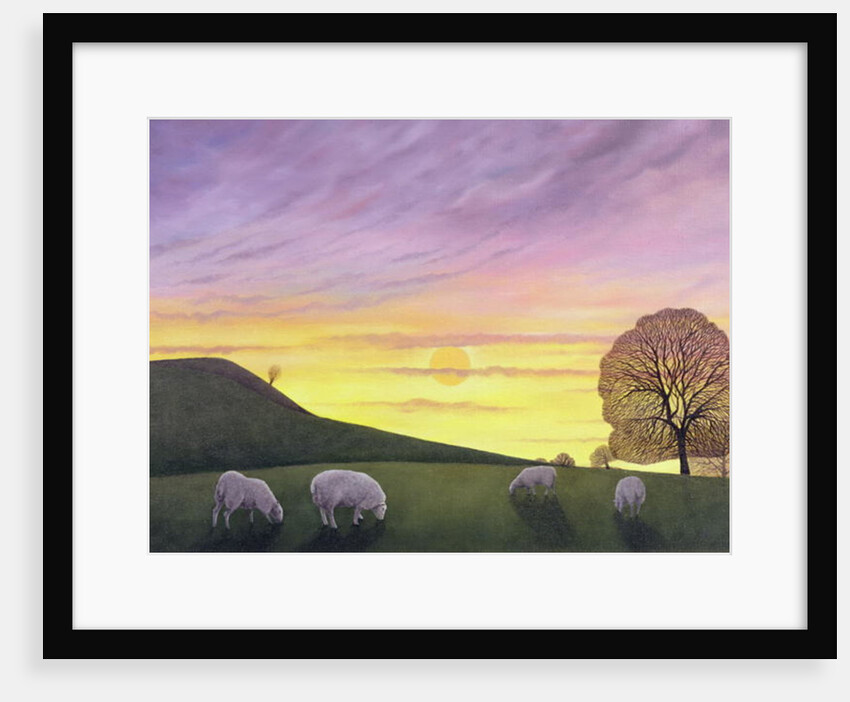 Barratt's Hill, 2004 by Ann Brain