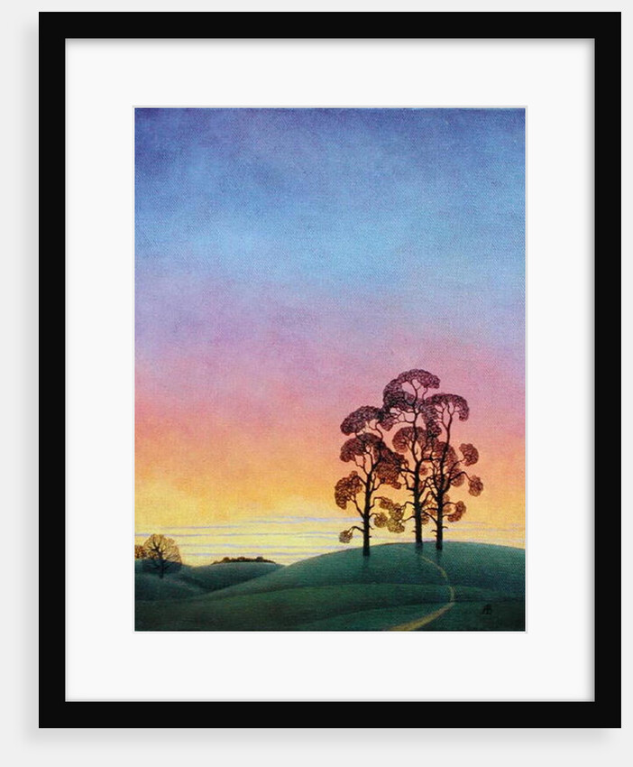 Path through the Pines, 2004 by Ann Brain