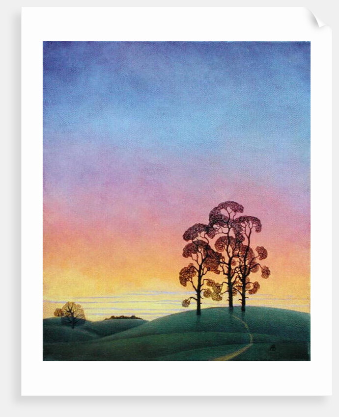 Path through the Pines, 2004 by Ann Brain