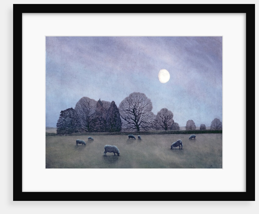 Moonlit Night, 2004 by Ann Brain