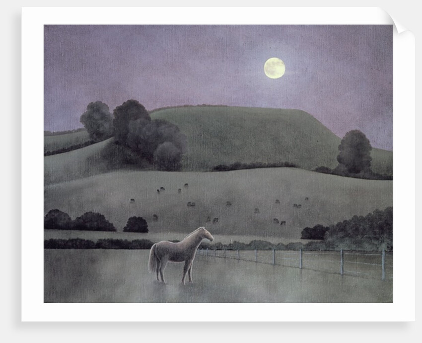 Horse in Moonlight, 2005 by Ann Brain
