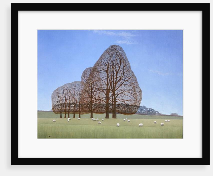 October Afternoon, 2008 by Ann Brain