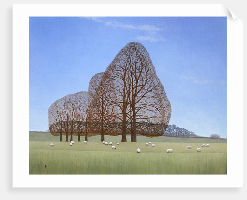 October Afternoon, 2008 by Ann Brain