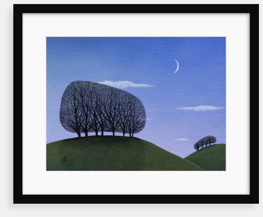 Moorise, 2017 by Ann Brain