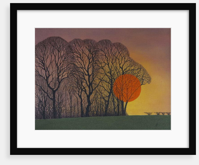 Setting Sun, 2013 by Ann Brain