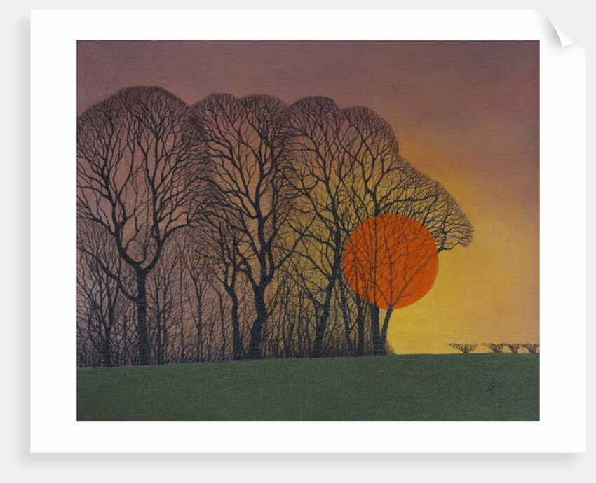 Setting Sun, 2013 by Ann Brain