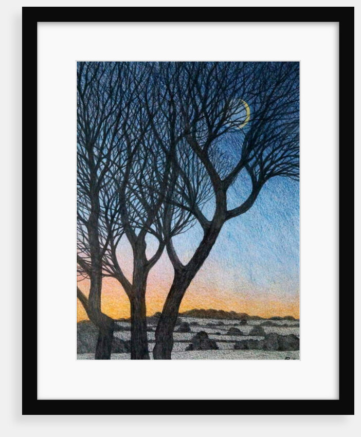 Trees and Moon, 2015 by Ann Brain