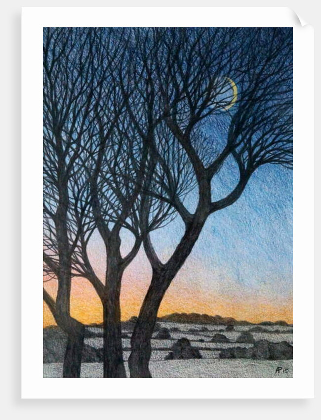 Trees and Moon, 2015 by Ann Brain