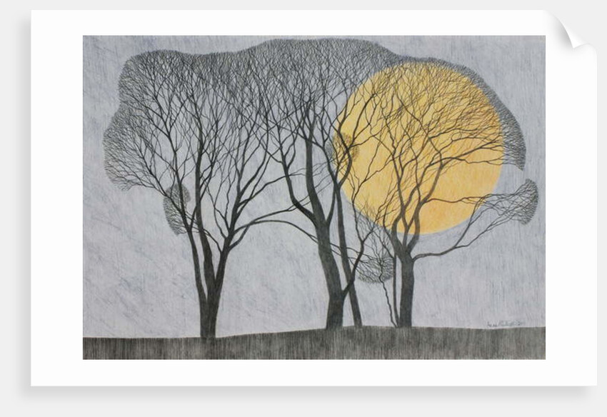 Megamoon, 2011 by Ann Brain