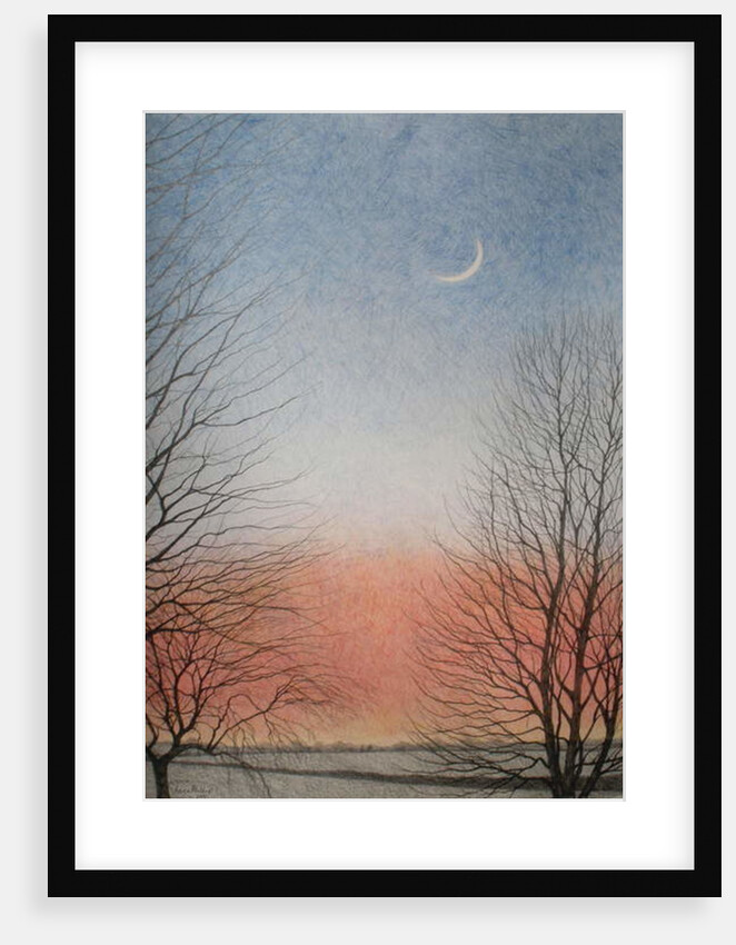 Early Evening, 2010 by Ann Brain