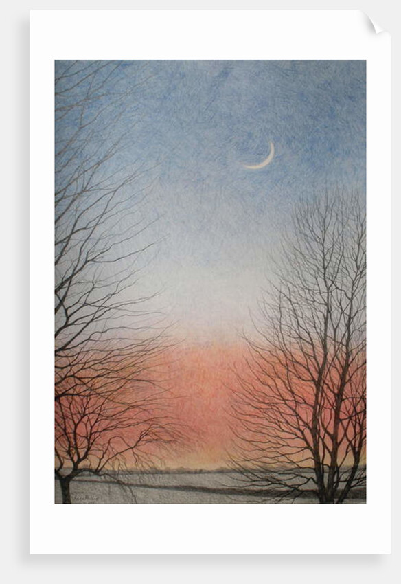 Early Evening, 2010 by Ann Brain