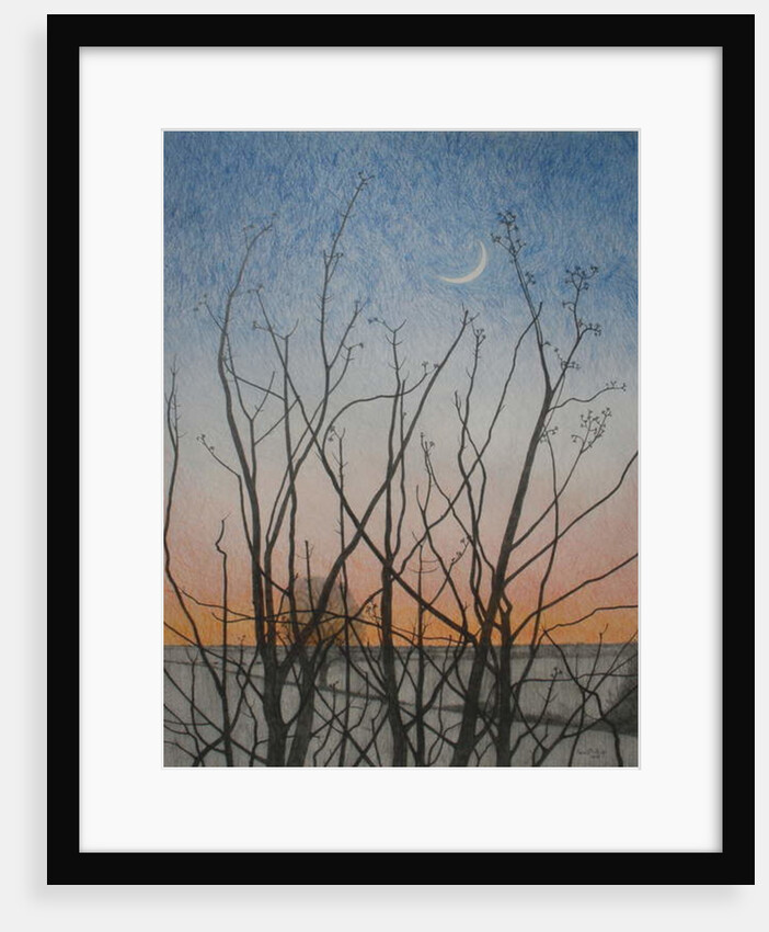 From my Window, 2011 by Ann Brain