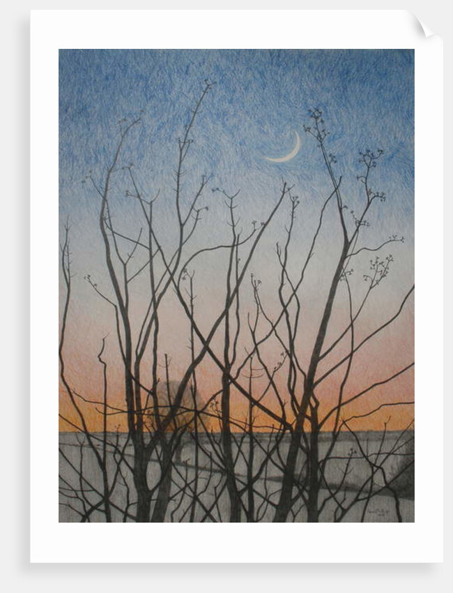 From my Window, 2011 by Ann Brain