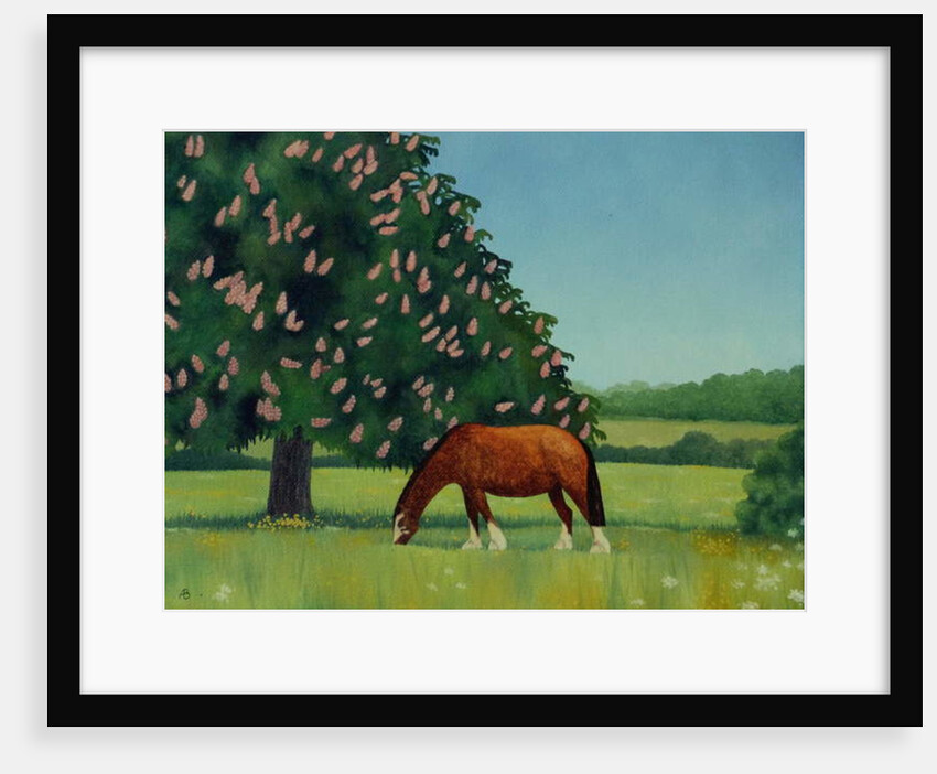Horse Chestnut, 2001 by Ann Brain